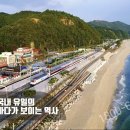 정동진 솔라뷰 호텔 앤 리조트 이미지