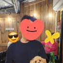 우리동네통닭집