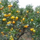 착한농장 이미지