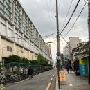 중랑구 어버이날 꽃집 내돈내산 추천 꽃똥별.