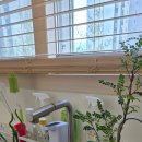 차오름목장 이미지