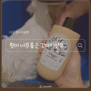 샴푸하는강아지 - 포항시 북구 새천년대로 591 | 디고 강아지 샴푸 사용 후기, 목욕 후 털결이 정말 부드러워졌어요