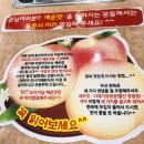 강계내 이미지