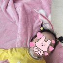 꼬모베어