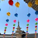 석굴암주차장 | 경주 여행 석굴암과 불국사 입장료 주차장 정보 후기