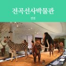 전곡선사박물관 이미지
