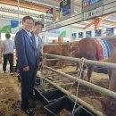 평창축산 이미지