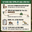 괘법정비 | 진짜로! .... 사실 가짜?인가