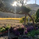 외갓집클라스 이미지