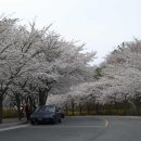 한전사택 이미지