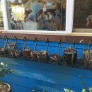 로즈마리 펜션 이미지