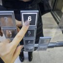 용인대SH복싱 이미지