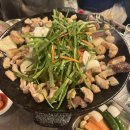 (주)한지 | [마운자로후기] 마운자로 2.5MG 두달 6주차 후기 / 1/31 - 2/6