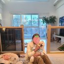 멍이댕이 이미지