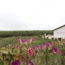 천주농장 이미지