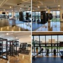 팀엑스복싱 이미지