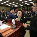 세갈래