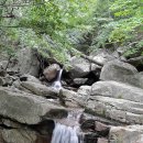 서부사슴농장 이미지