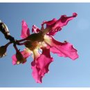 사회복지법인 명휘원 이미지