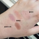 코코델리스 이미지