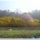 블랙세인트 이미지