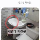 두미포로2 이미지