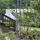 문장대힐링하우스민박 네이버블로그