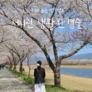 사림리 | 구례 벚꽃, 사람 없는 찐명소! 서시천 생활환경숲 후기