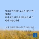 김선우 - 걷다가 문득 멈춰 나무가 된 고양이는 아니지만 / 감상 - 박제영 이미지