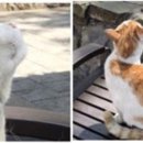정문 이미지