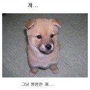 낼름