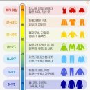 더쿠