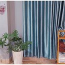 비치스파랜드 이미지