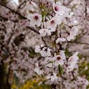 청사초롱마을 이미지