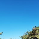 고흥삼계탕 | 영주 삼계탕 맛집, 고흥가든 다녀온 후기