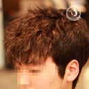 스왈로 이미지