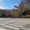 원조경