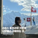 동신약국 | 스위스 인터라켄에서 융프라우 가는 법 정리! VIP패스 구매하는 곳 가격 동신항운 실시간 날씨 확인 방법