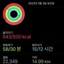 미스터차이나 이미지