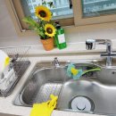 하우스&Cleaning 이미지