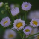 보경농장 이미지