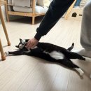 아싸복권