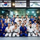 팀루츠