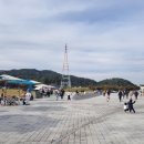 달성횟집식당 네이버블로그
