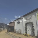 지내리 | [후기]춘천 카페 지내리기름집 내돈내산 솔직후기