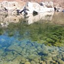 내린천의 봄 이미지