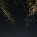 수봉공원 Daum카페