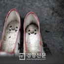 꽃신 이미지