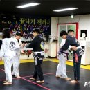 파라에스트라진천