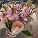 털보원예 - 은평구 통일로80길 8 | 털보원예